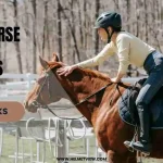 Best Horse Riding Helmets